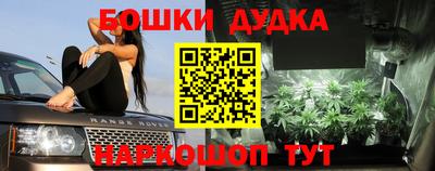 гидропоника Будённовск