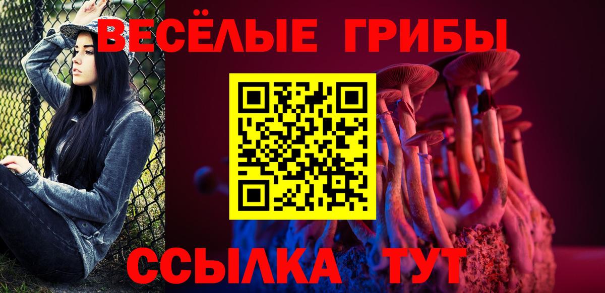 Тамбов  Галлюциногенные грибы ЛСД  Вход с VPN 